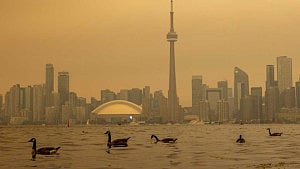 The serious health risks posed by wildfire smoke