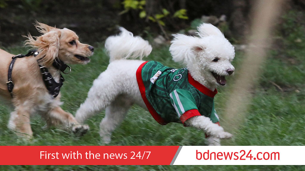 Mexico WC jerseys fit all sizes - and pets