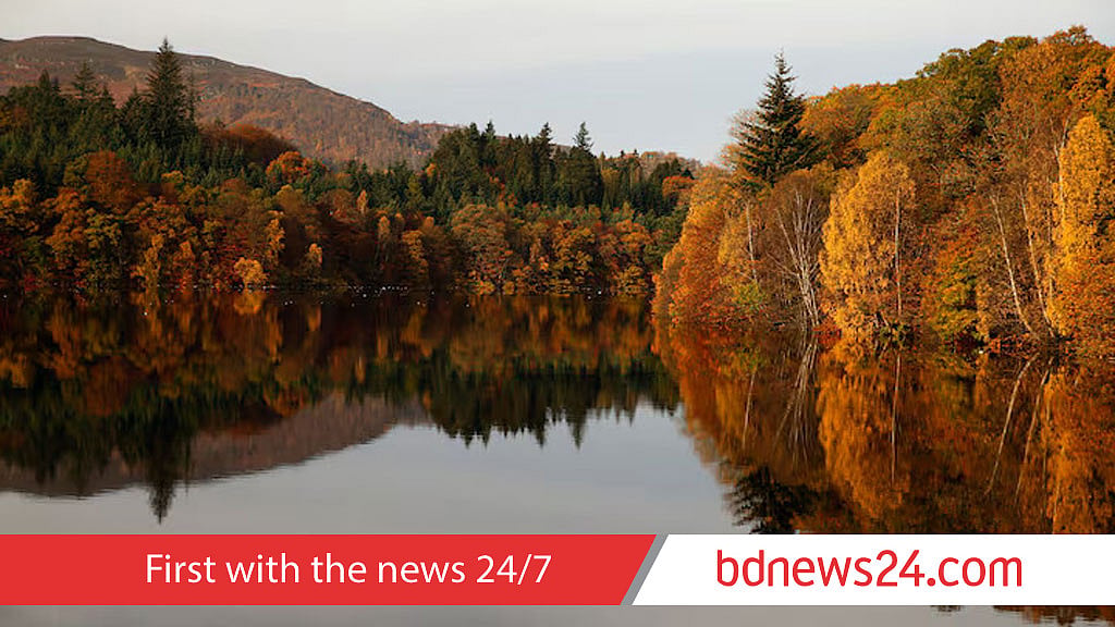 UK plans new rules to tackle deforestation