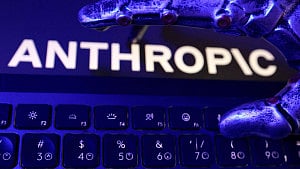 Anthropic found vulnerabilities in classified US govt systems: AP