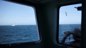 Antibiotic resistance genes found in oceans worldwide: study