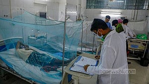 Dengue: 2 die, 157 hospitalised