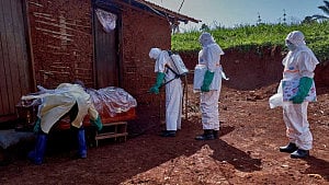 Ebola cases rise to 896: Congo