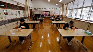 Japan city shuts 94 schools after bear sighting