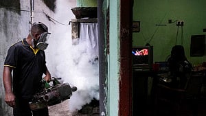 Sri Lanka battles surge in dengue fever