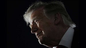 Trump back to winning ways in US primaries
