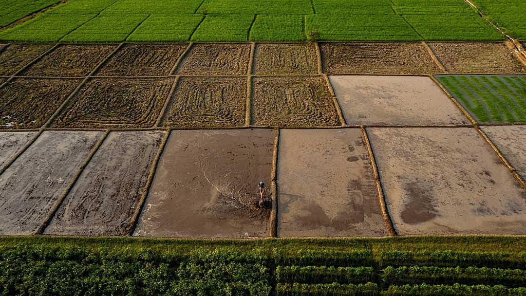 Australia says El Niño strongest in decades