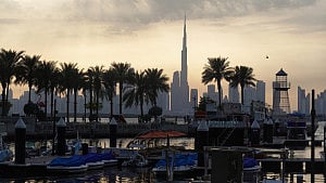 UAE says it dismantled Iran-funded ‘terror network’