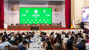US vows to seek WTO alternatives after Cameroon meeting