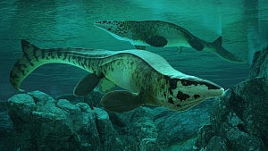 Scientists discover dinosaur-era ‘T rex of the sea’