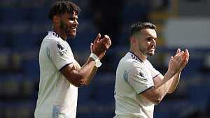 Forest edge toward safety, Villa held