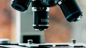 Epithalon reveals the secrets of biological ageing