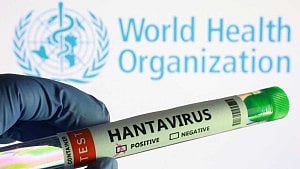 Hantavirus: UK to bring 10 people home for isolation