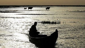Iraq’s marshes revive as water returns after drought