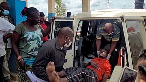 What do we know about the rare Ebola virus strain?