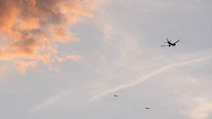 ‘Miraculous’ survival in Florida plane crash