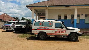 WHO ‘deeply concerned’ as Ebola deaths rise to 131