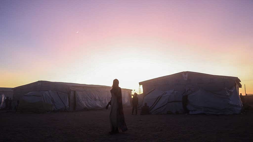 Al-Fashir survivors recount brutal escape