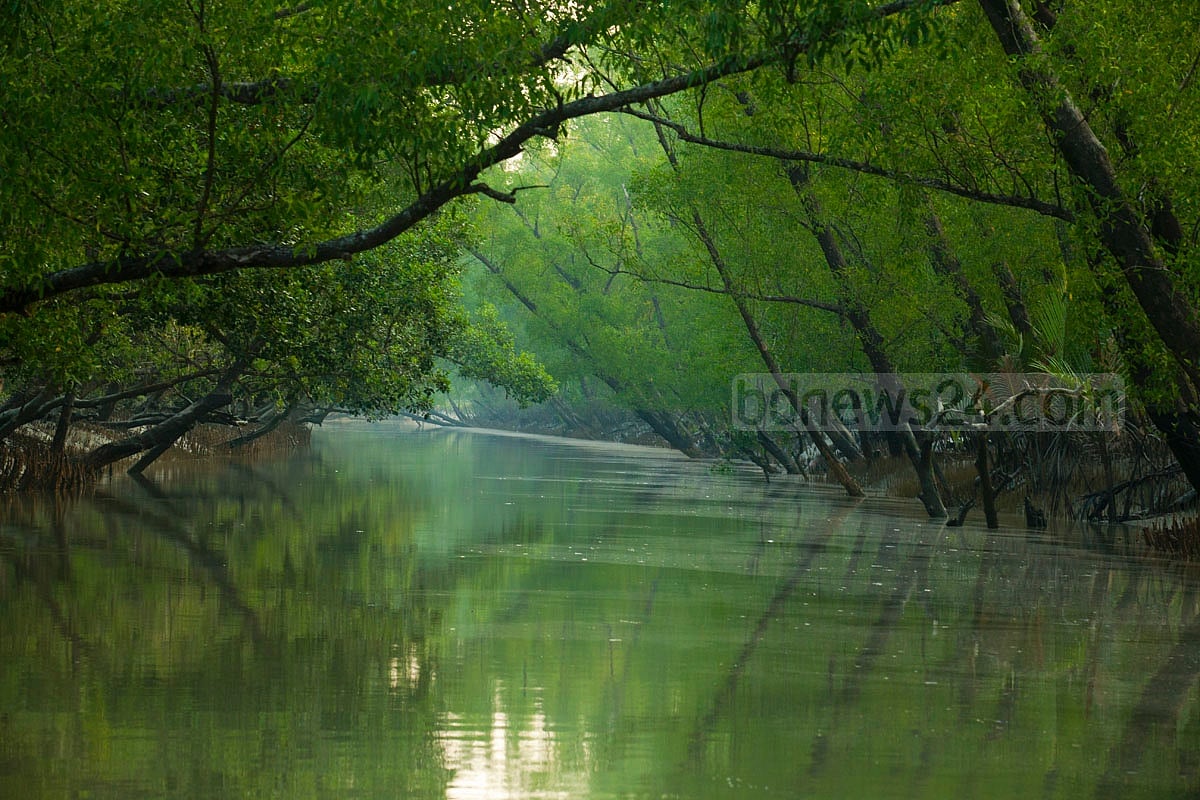 সুন্দরবনে অসুন্দর রামপাল