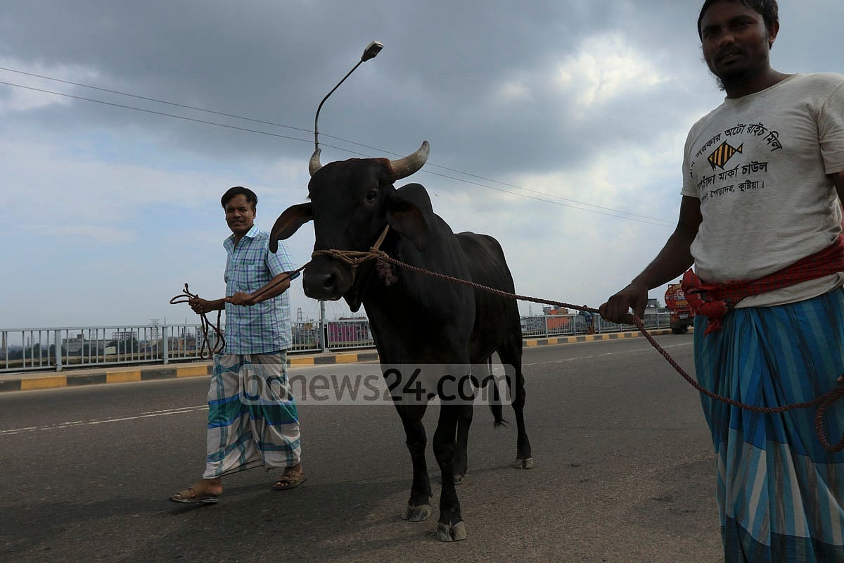 মুসলিম ভাইবোনদের উদ্দেশে আবারও খোলা চিঠি