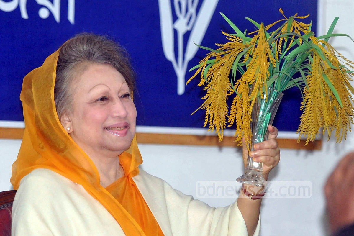 বিএনপির পরবর্তী নেতা কে?