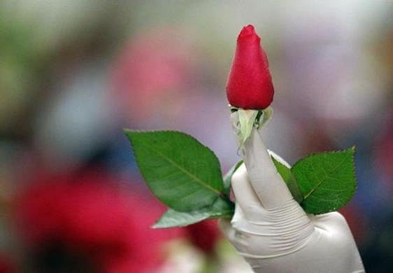 কোনো নারীকে দেখে কোনো পুরুষের ভালো লাগতেই পারে 