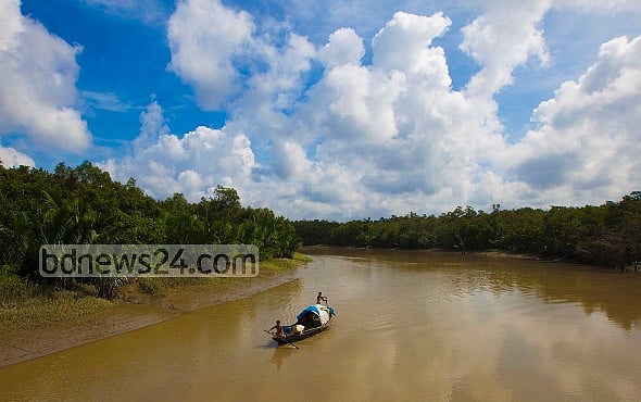 বৈশ্বিক দৃষ্টিতে আমাদের সুন্দরবনকে 'প্রথম শ্রেণির বাঘ সংরক্ষণ ল্যান্ডস্কেপ' ঘোষণা করা হয়েছে 