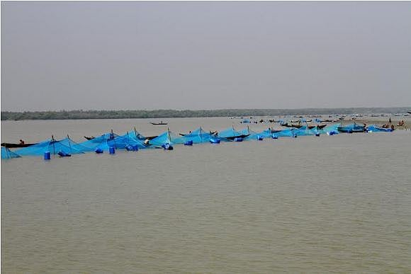 সুন্দরবনে রয়েছে নানা ধরনের জেলে 
