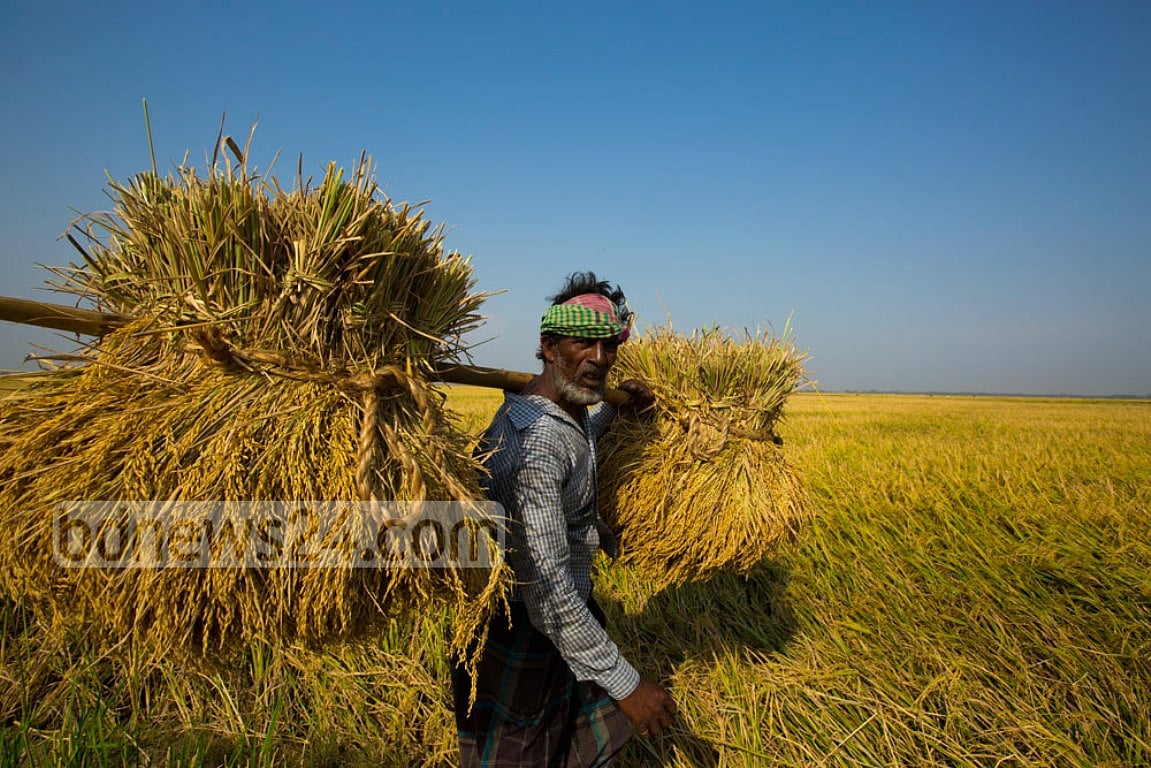 উন্নয়ন ও গণতন্ত্র :  সময় এসেছে পুবের দিকে তাকানোর