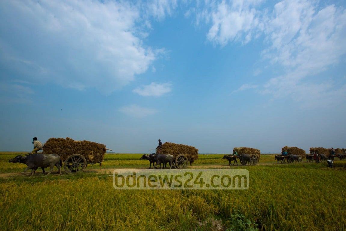 হারানো বাংলাকে কি খুঁজে পাব আমার