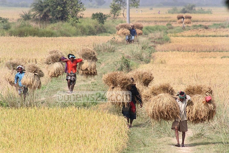 কৃষকরাই এই দেশটিকে সোমালিয়া হতে দেয়নি 