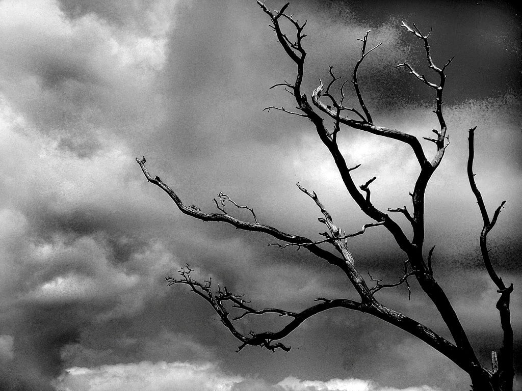 নারকীয় হত্যা ও আত্মঘাতী নির্লিপ্ততা