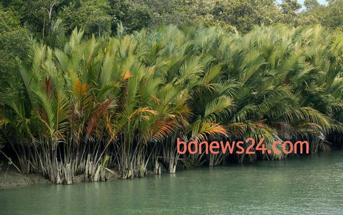 প্রসঙ্গ  রামপাল: সুন্দরবন নিয়ে বিভ্রান্তির সুযোগ নেই