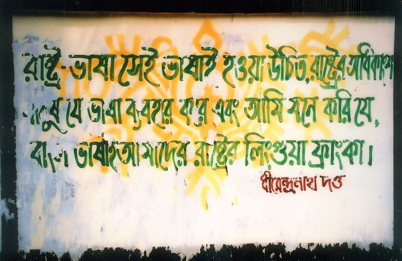 ধীরেন্দ্রনাথ দত্তই প্রথম ব্যক্তি যিনি ভাষার প্রশ্নে সংশোধনী প্রস্তাব আনেন এবং বাংলা ভাষাকে তার প্রাপ্য মর্যদার আসনে প্রতিষ্ঠিত করার প্রত্যক্ষ উদ্যোগ নেন 