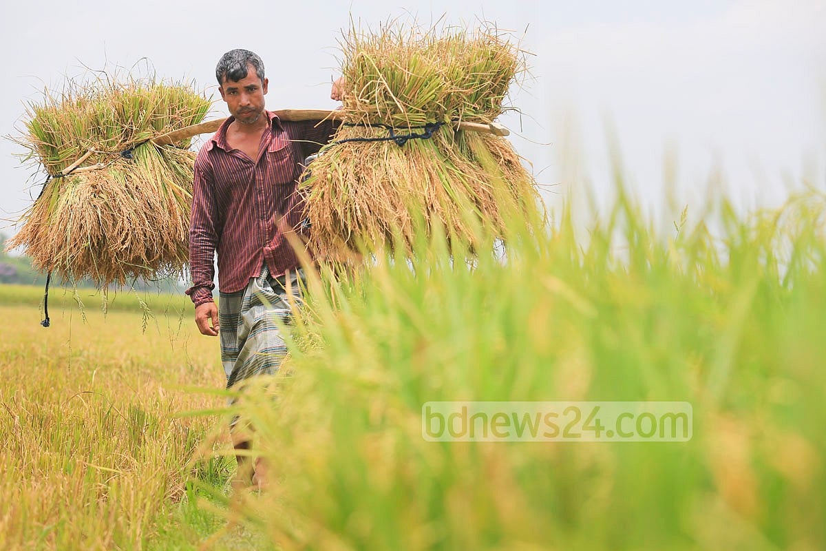 আমার সন্তান যেন থাকে দুধে-ভাতে