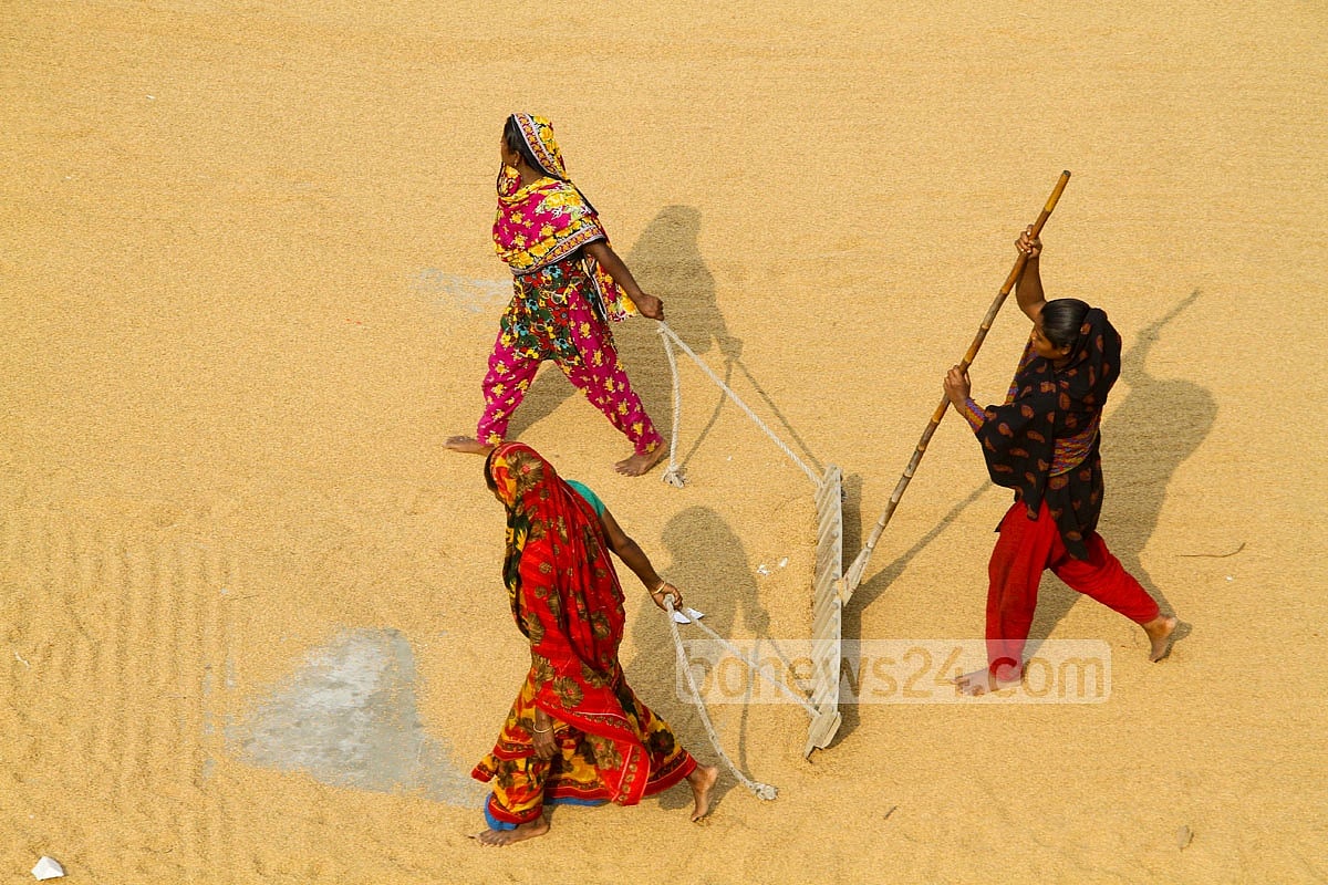 একজন মৌমিতা আফরিন সীমা এবং বাংলাদেশের অর্থনীতি