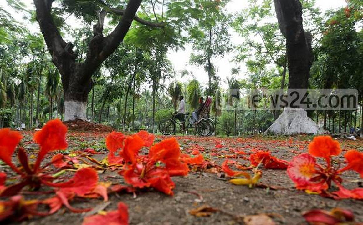 একটি রক্তমাখা স্থগিত কনভোকেশন এবং একজন বঙ্গবন্ধু