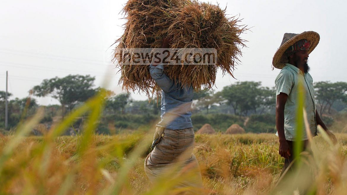 চিকিৎসকের অর্থনীতি পাঠ এবং উপসংহারে ‘রাবিশ’