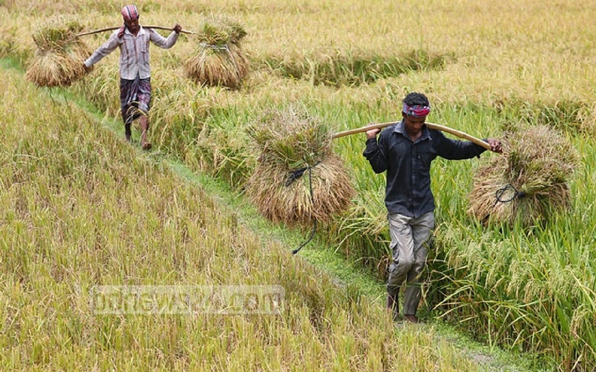 একজন গবেষক ও একটি গবেষণা প্রতিষ্ঠানের মৃত্যু