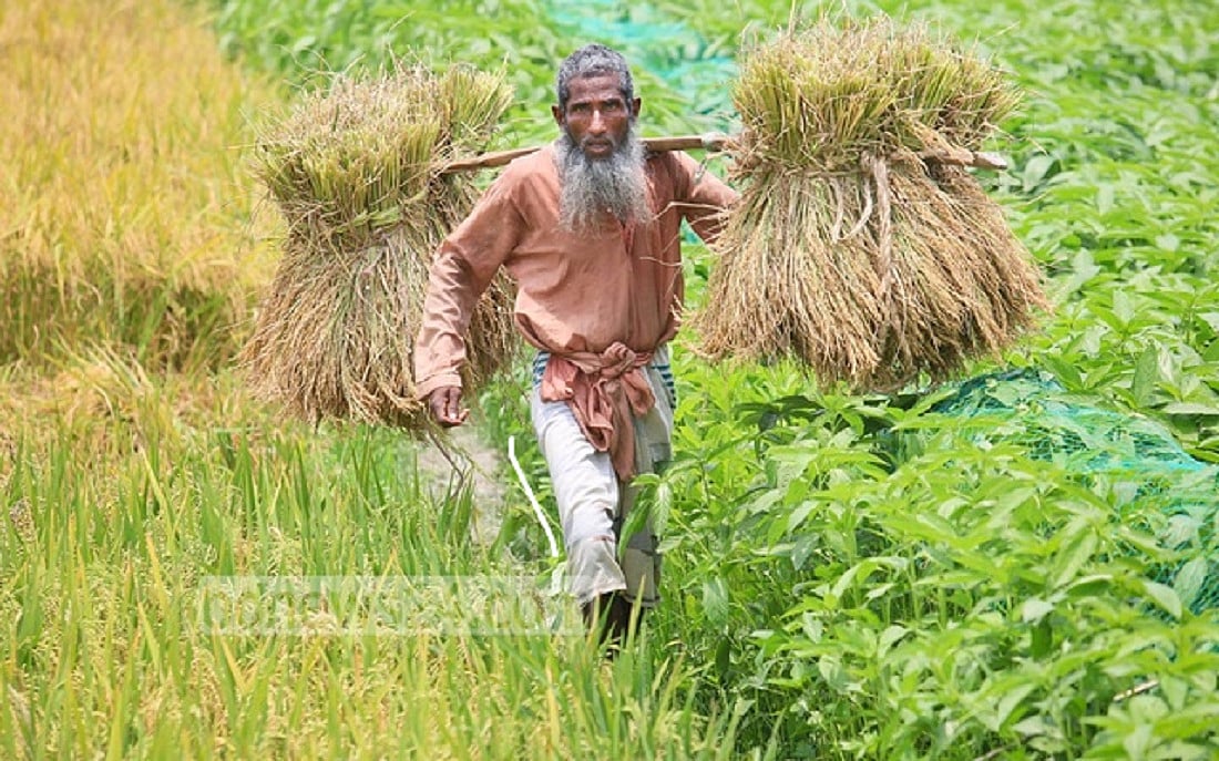 উন্নয়ন ভাবনা: মানব উন্নয়ন