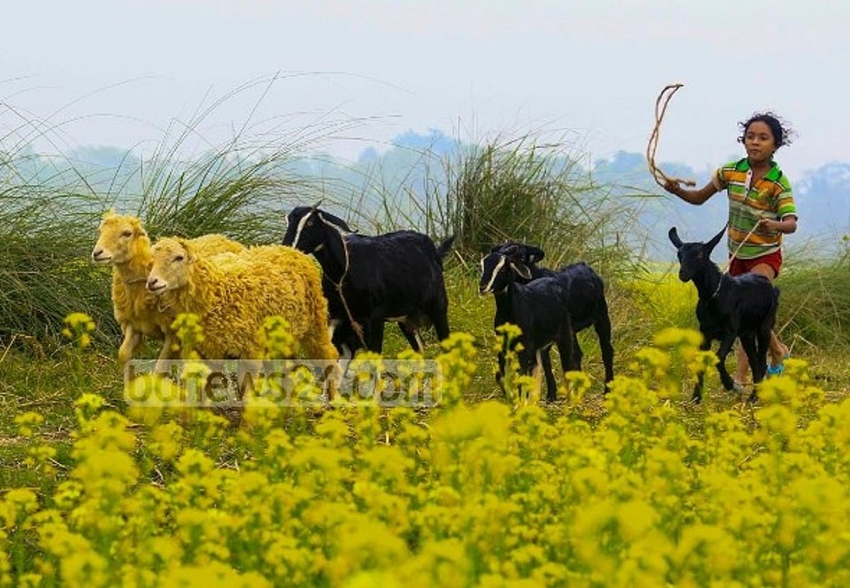 শিশুকে চ্যালেঞ্জ গ্রহণেরও সুযোগ দিন
