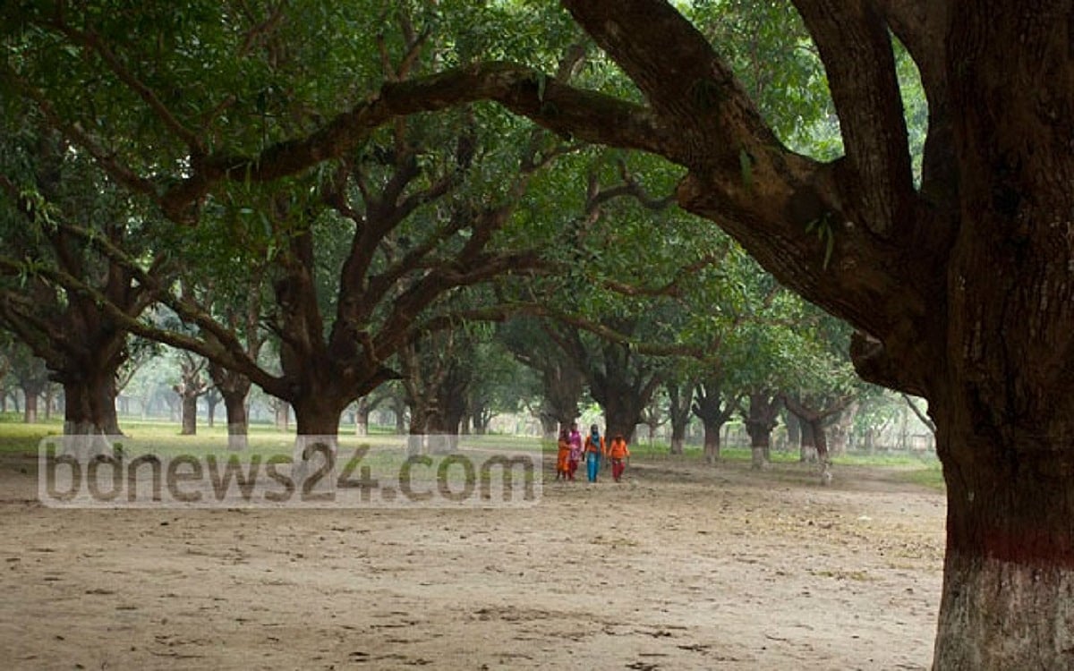 ভালো নেই মুজিবনগরের ঐতিহাসিক আমবাগান