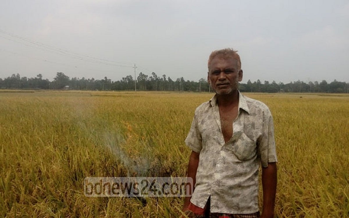 গ্রামে চলো ধান কাটি, কার লাভ কার ক্ষতি