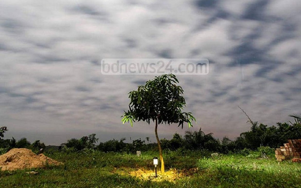 করোনাভাইরাসের প্রকৃতিবান্ধব ও লৈঙ্গিক রূপ