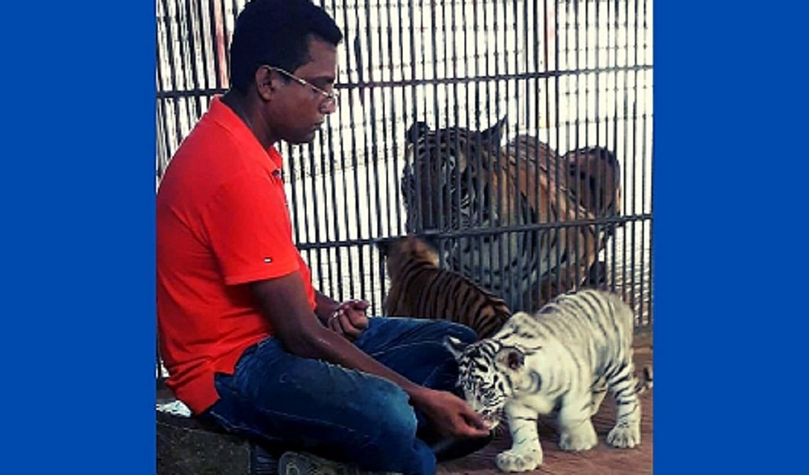 বিশ্ব বাঘ দিবস: বাঘ ও সুন্দরবন রক্ষায় আমাদের করণীয়