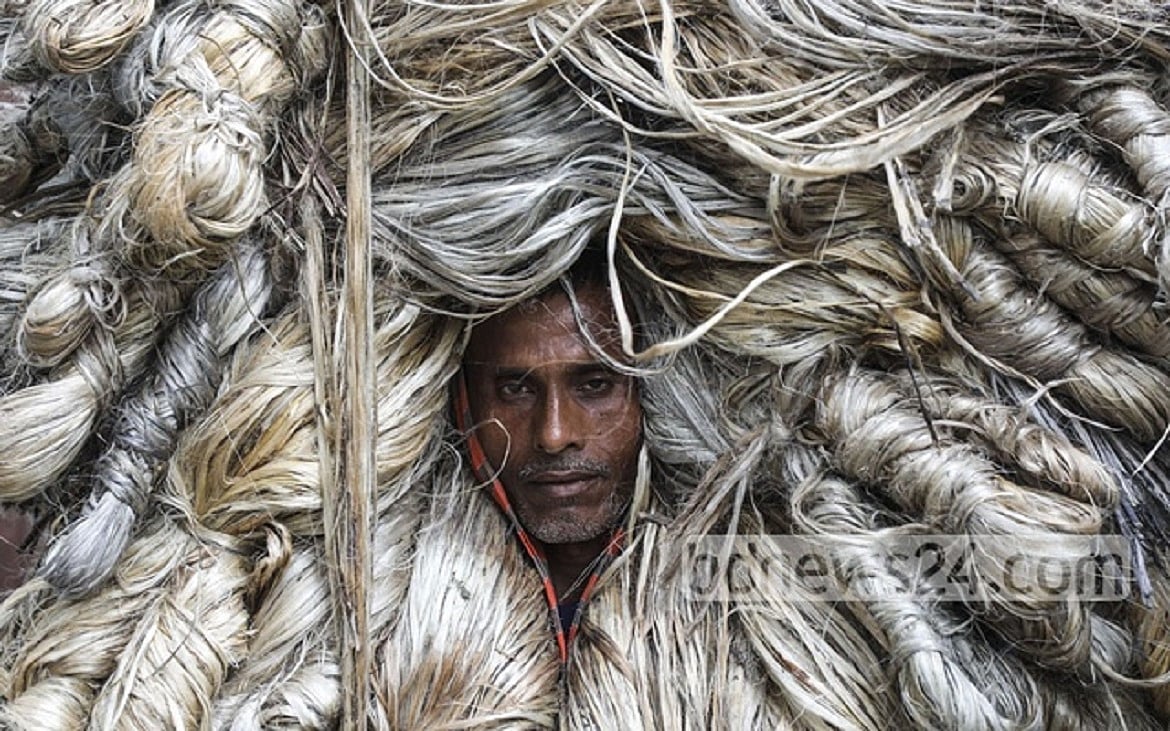 হায় পাটকল, সোনালী আঁশের কল!