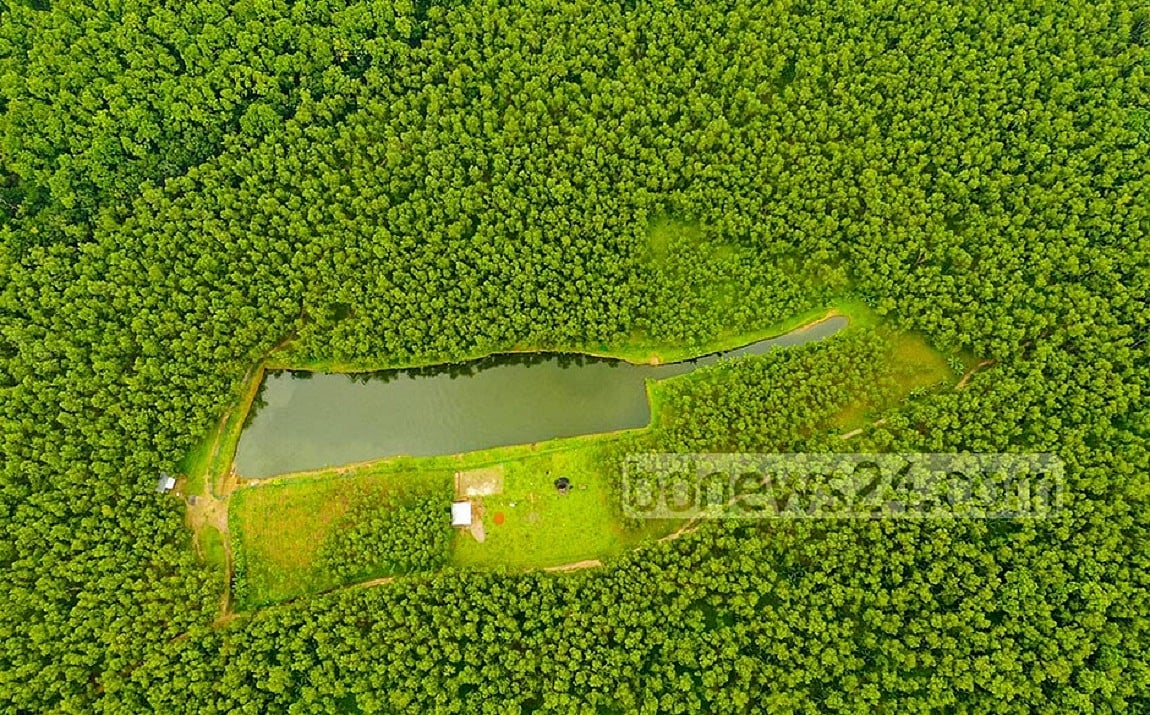 পরিবেশ ও প্রকৃতির সাথে বৈরিতা নয়, সেতুবন্ধন রচনা করতে হবে