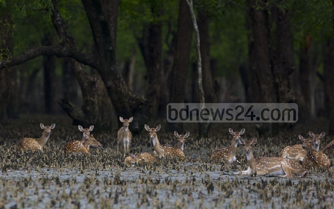 বাংলাদেশ ২০২০: পরিবেশগত পর্যালোচনা