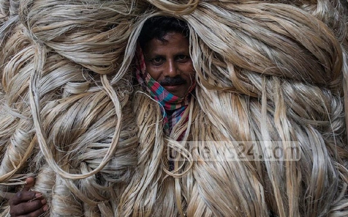 পাট থেকে অ্যান্টিবায়োটিক ‘হোমিকরসিন’– ঢাকা বিশ্ববিদ্যালয়ের শতবর্ষে অনন্য উপহার