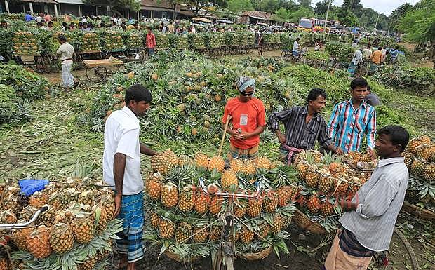দারিদ্র বিমোচন, দুর্যোগ ব্যবস্থাপনা, পরিবেশের বিপর্যয় প্রতিরোধ এবং খাদ্য-নিরাপত্তা বলয় সৃষ্টিতে অন্যতম উৎকৃষ্ট পদ্ধতি সমবায়ী উদ্যোগ 